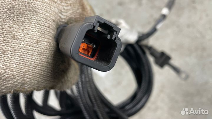 1933652 Жгут электропроводки G55 C41 D/F C319