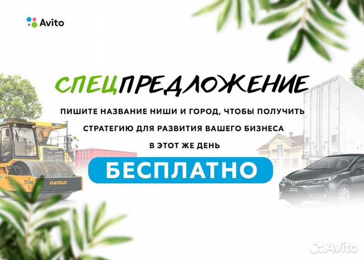 Директолог. Контекстная реклама. Авитолог