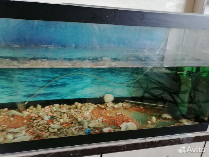 Аквариум 234л, полный комплект к нему