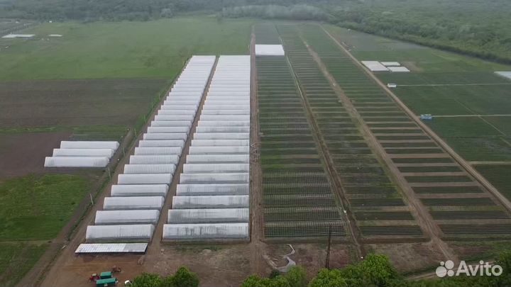 Земельный участок с теплицами