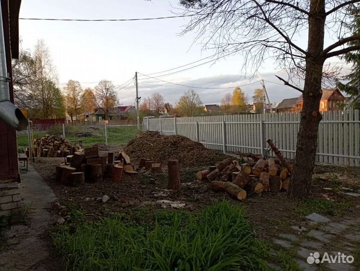 Дрова не колотые сосна ель