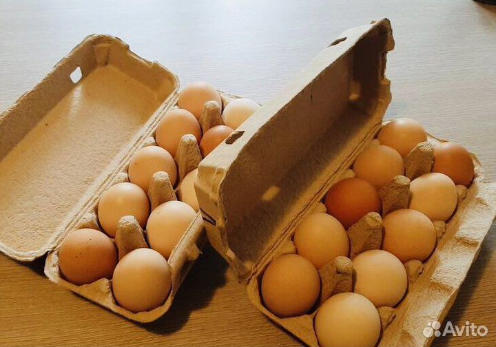 Домашние куриные яйца