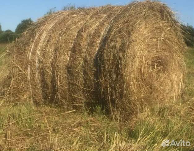 Сено в рулонах