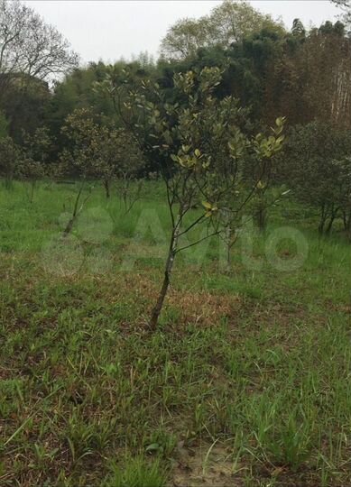 Участок 4,6 сот. (ИЖС)