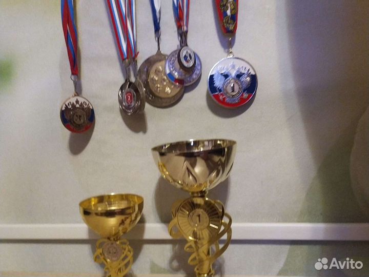 Дрессировка собак норматив ноузворк и выборка