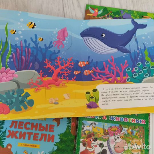 Детские книги с окошками