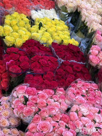 Букеты от 25 роз с доставкой, розы 50-80 см