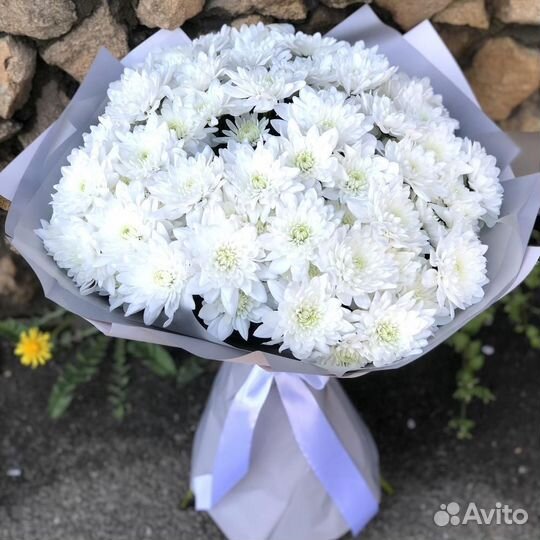 Хризантема букет доставка самовывоз