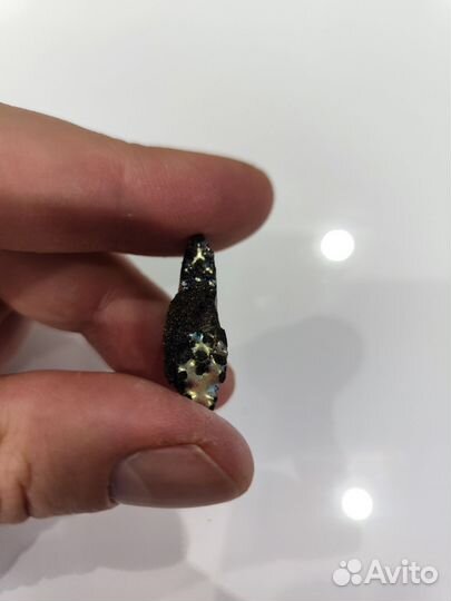 Дуга ракушки аммонита с перламутром