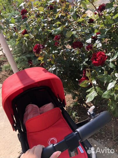 Коляска bugaboo cameleon 3