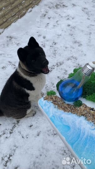 Светильник керосиновый