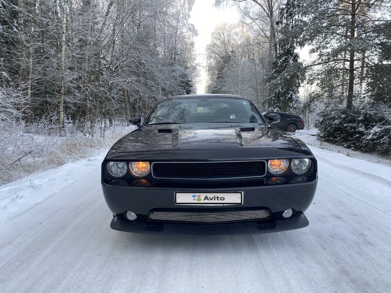 Dodge Challenger: фото владельца