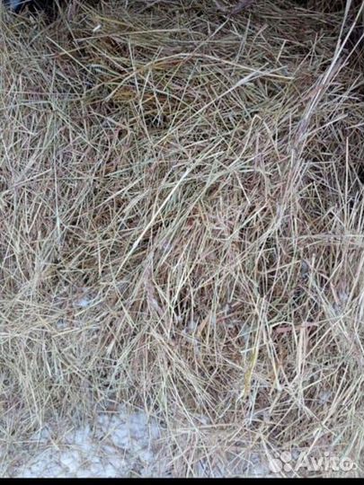 Сено большие рулоны 400 кг, в мешках