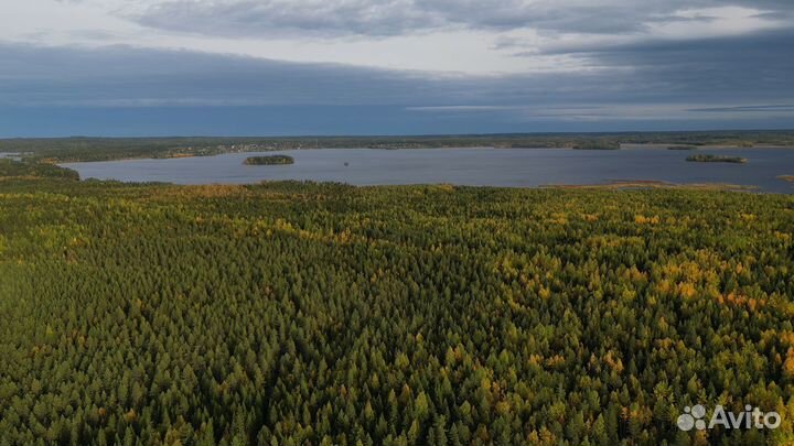 Аэросъемка с квадрокоптера Dji