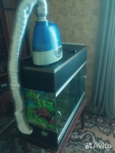Террариум для рептилий б/у