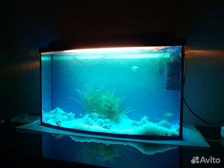 Аквариум