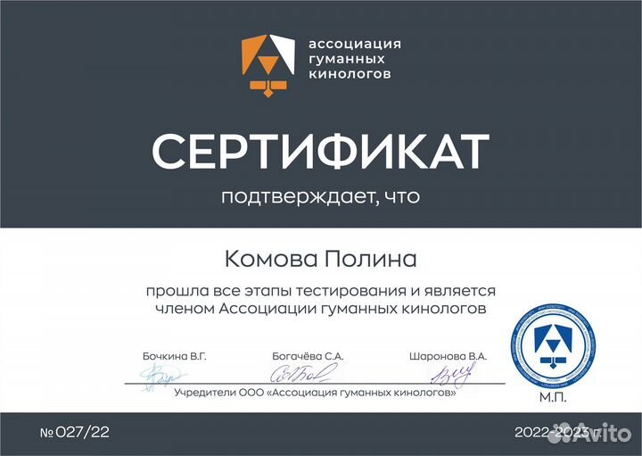 Дрессировка собак, коррекция поведения. Кинолог