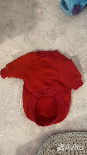 Одежда для собак и кошек