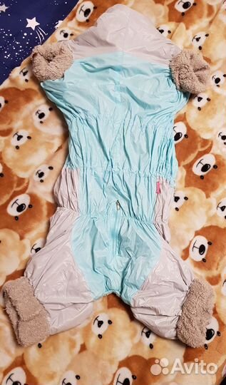 Одежда на собак