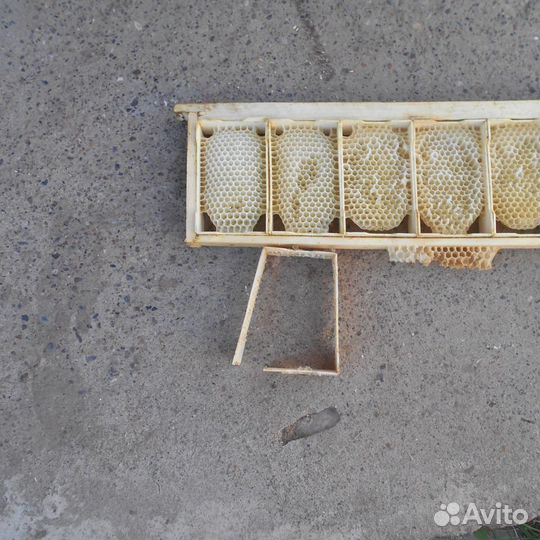 Вощина. Суш гнездовой. Суш магазиннРамки с вощиной