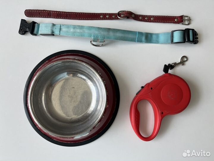 Ошейник и поводок для маленьких собак