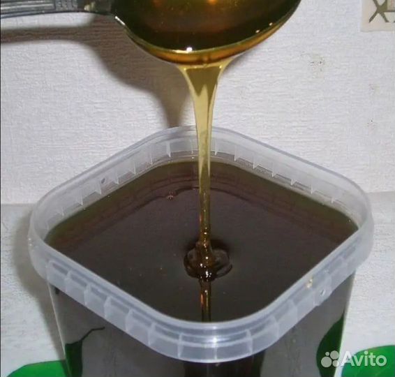 Гречишный мед оптом с Алтая