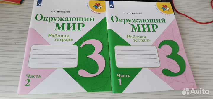 Рабочая тетрадь окружающий мир 3 класс