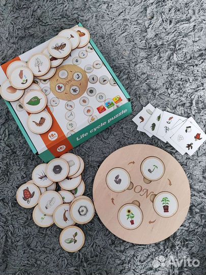 Развивающие игрушки Цикл Жизни
