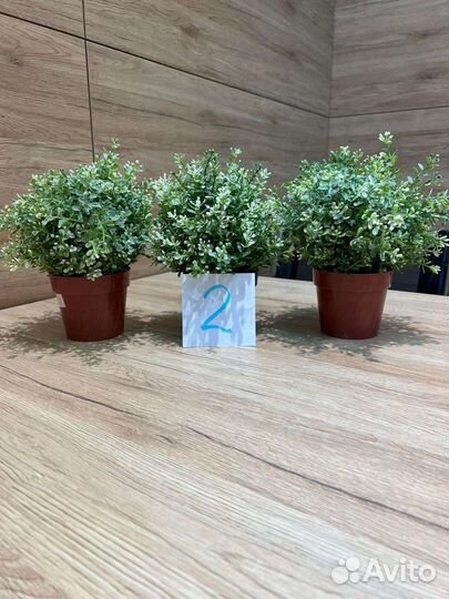 Искусственные цветы IKEA