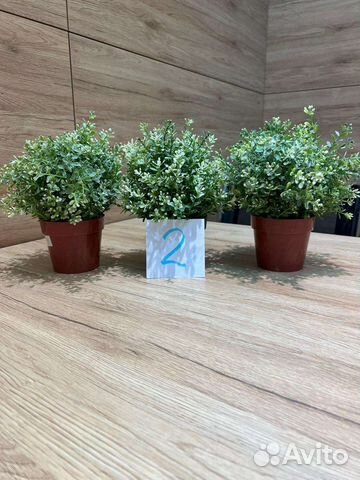 Искусственные цветы IKEA