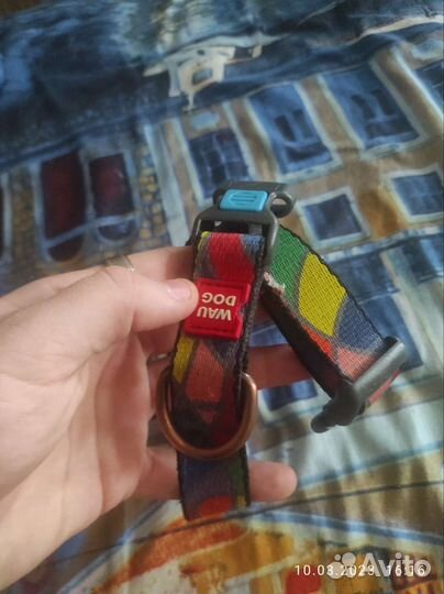 Ошейник для собак