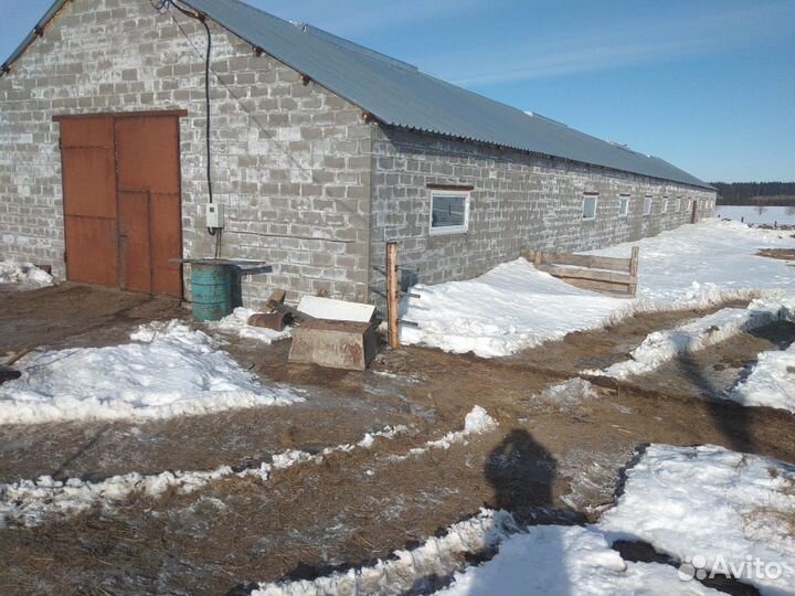 Продажа кфх