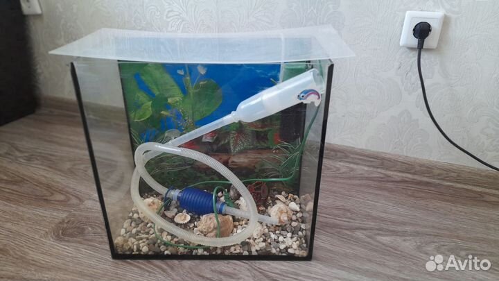 Аквариум