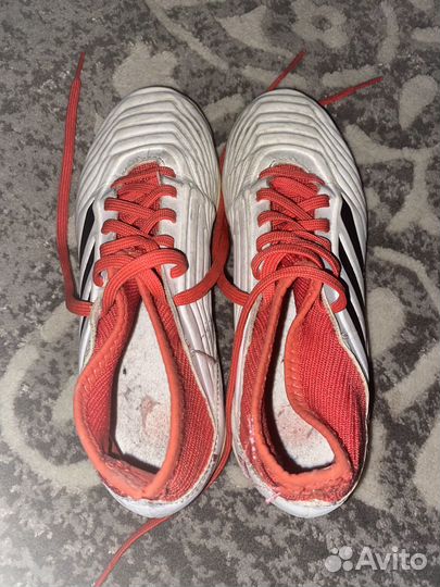 Футзалки adidas predator