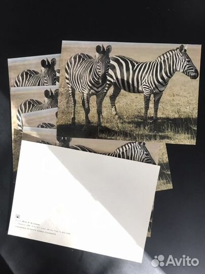 Открытки СССР 80-х гг