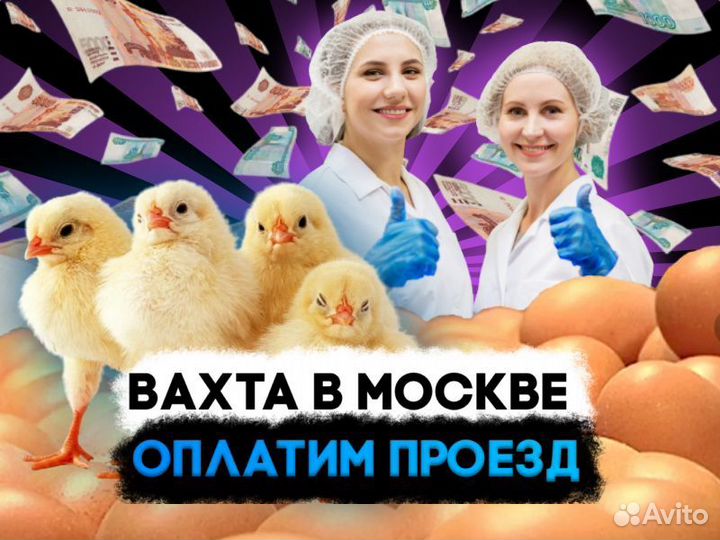 Упаковщик яиц Работа с проживанием Москва