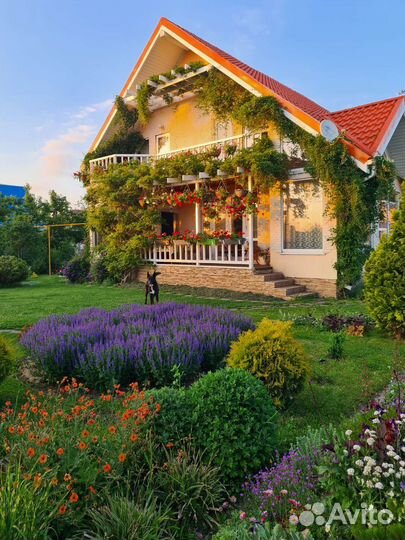 Многолетние цветы