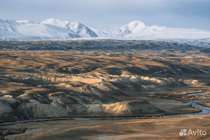 База отдыха на Алтае. Юрточный кемпинг 