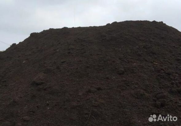 Чернозем
