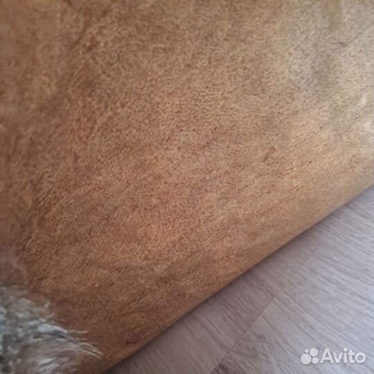 Волчья шкура