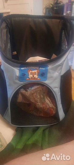 Переноска для кошек и собак новая