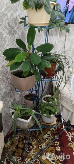 Продам металлическую подставку под цветы