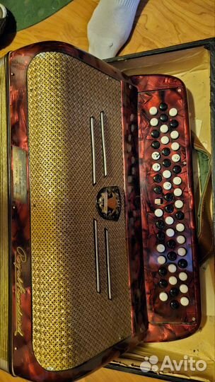 Баян royal standard