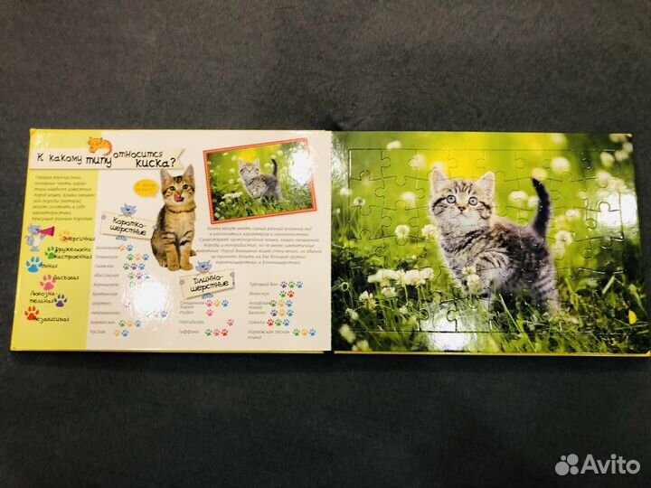 Книга пазл