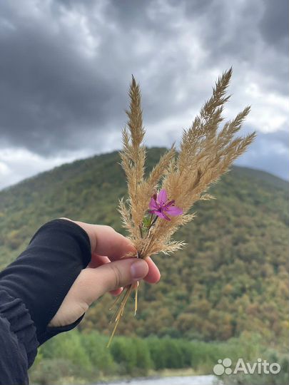 Нарукавники