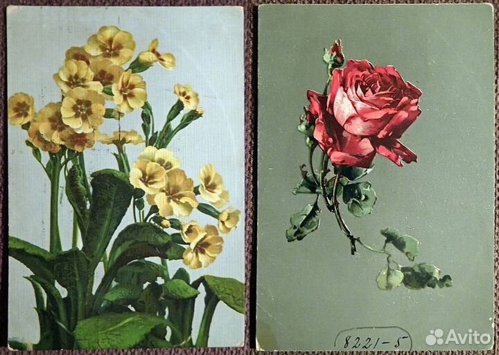 Антикварные открытки. Цветы