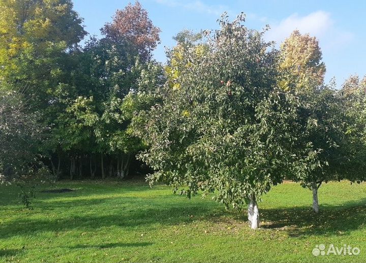 Передержка (с отзывами). Бронирование на отпуск