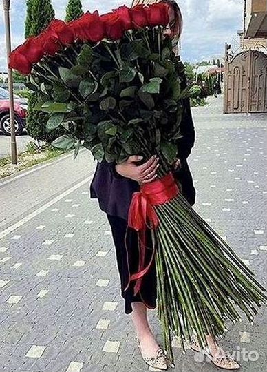 Розы гиганты 140 150 160 170 180 200