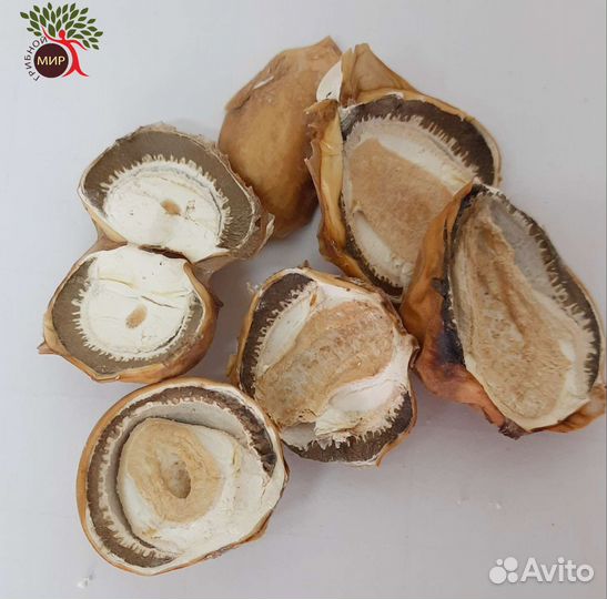 Весёлка сушёная