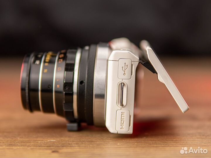 Sony Alpha NEX 5n + Industar 55mm f2.8